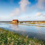 Psychologia użytkownika a straty wody: dlaczego ludzie ignorują sygnały o wyciekach?